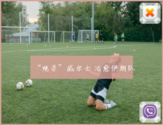 “绝杀”威尔士 治愈伊朗队