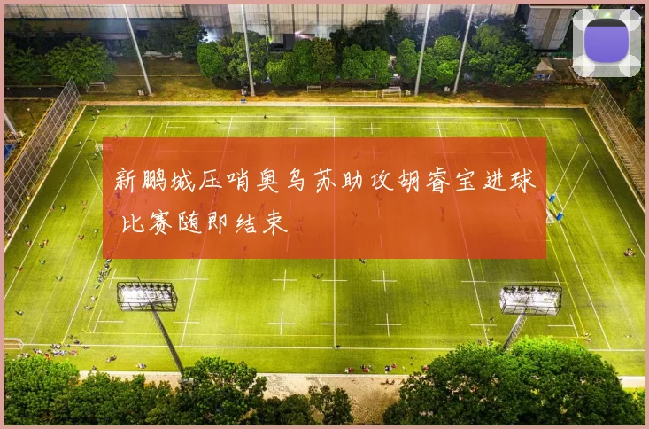 新鹏城压哨奥乌苏助攻胡睿宝进球 比赛随即结束
