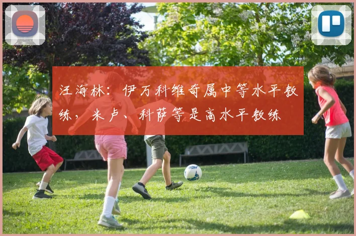 汪海林：伊万科维奇属中等水平教练，米卢、科萨等是高水平教练