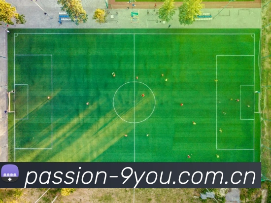 九游体育APP 封面图